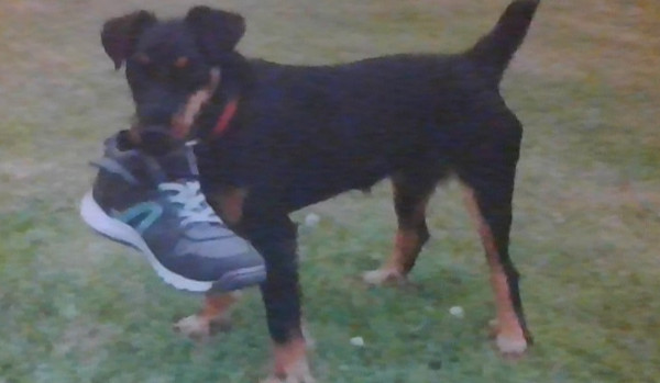 Miniaturki i tła do oddania 2