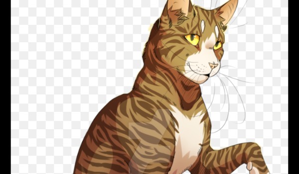 Ocena postaci z wojo#liściasta