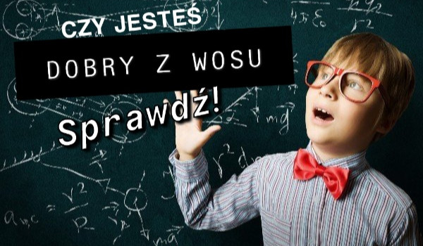 Władza ustawodawcza QUIZ