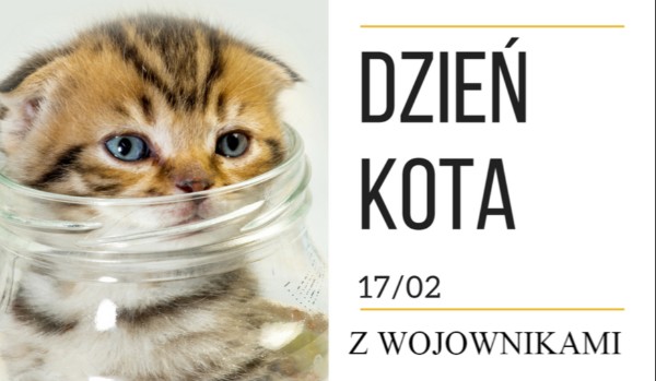 Z którym kotem z ,,Wojowników” spędzisz Dzień Kota?