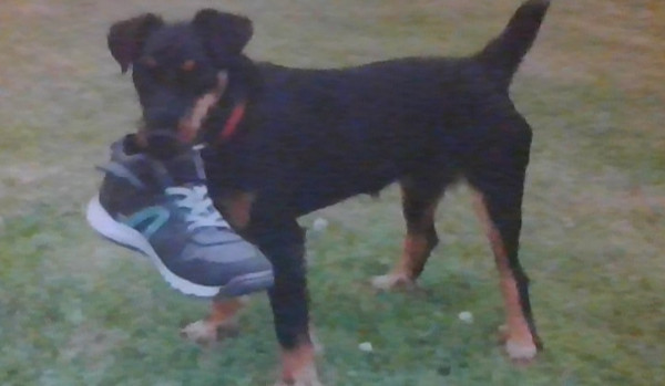 Miniaturki i tła do oddania 3