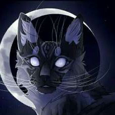 .nightts