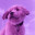 Purple..._...Doggy
