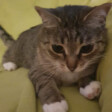 Kizia1234321