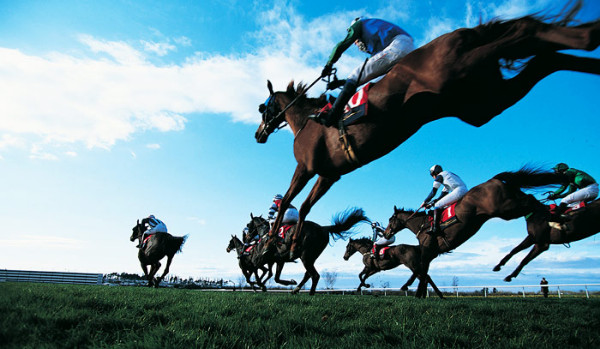 Test wiedzy o wyścigach konnych