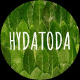 Hydatoda