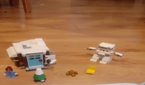 Jakim typem lego jesteś?