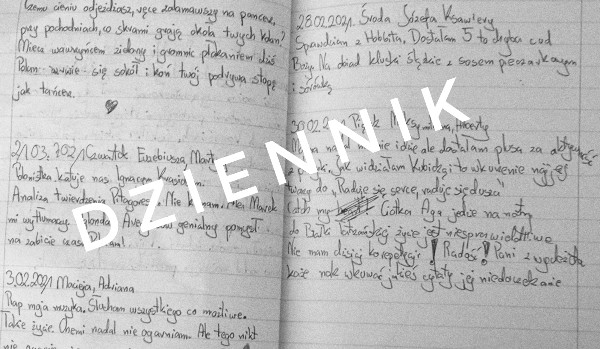 Dziennik-4