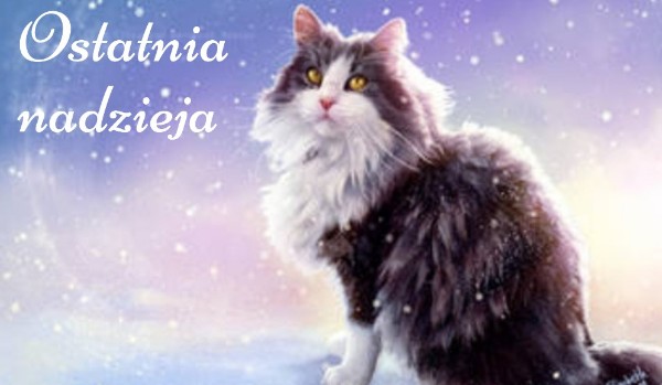 Ostatnia Nadzieja ~ rozdział 2