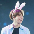 Xx_ARMYxX_