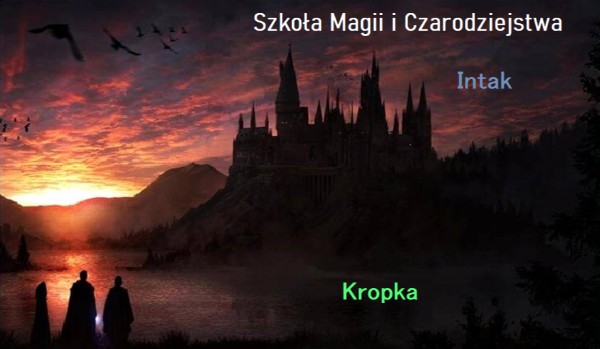 Intak Vlll – Kropka