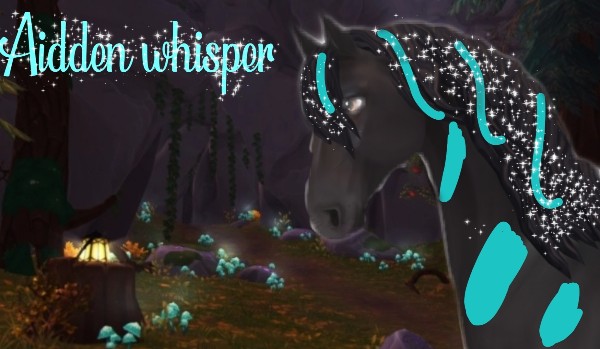 Aidden whisper ~rozdział 6~ |6/12|