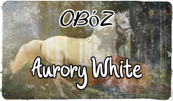 Obóz Aurory White #2