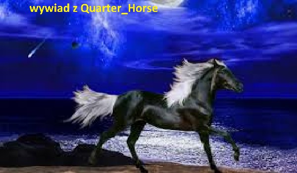 wywiad z Quarter_Horse
