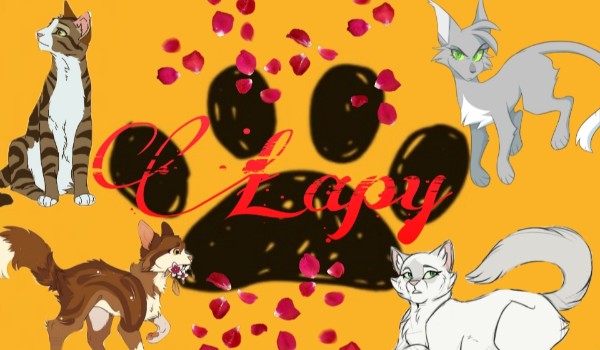 Łapy – rozdział 1