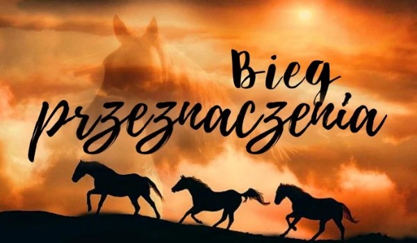 „Bieg Przeznaczenia” #1 Droga