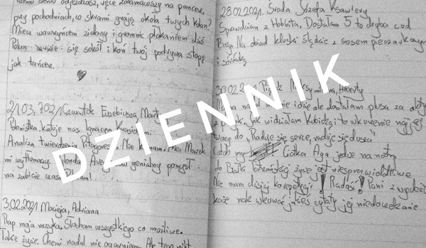 Dziennik-3