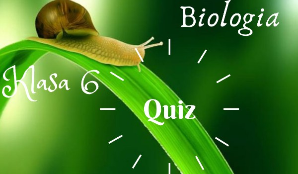 Biologia – klasa 6 – da quiz