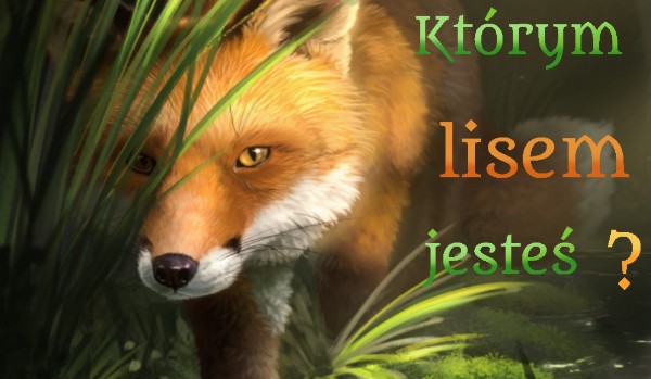 Którym lisem jesteś ?