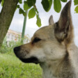 Agata.1221