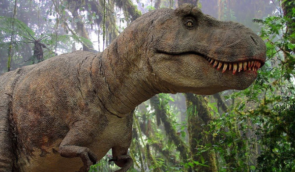 Czy rozpoznasz te 20 gatunków dinozaurów?  (26 lutego- Dzień Dinozaura)