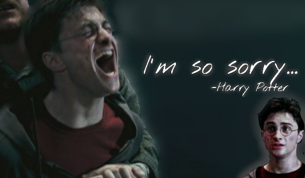 I’m so sorry…-Harry Potter |One shot|