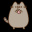 pusheen.mial