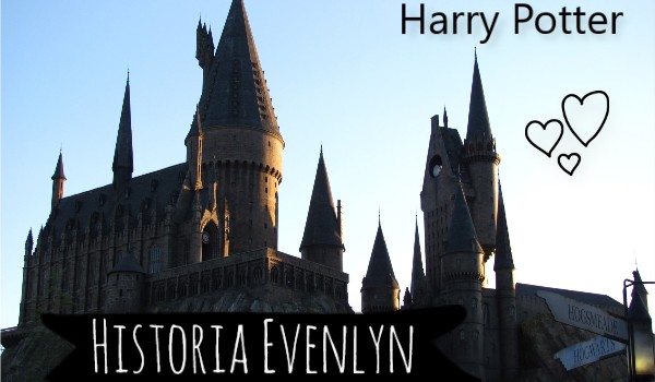 Historia Evenlyn rozdział 13, Tajemniczy Podarunek