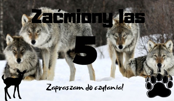 Zaćmiony las 5#