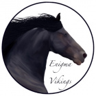 Enigma.Vikings