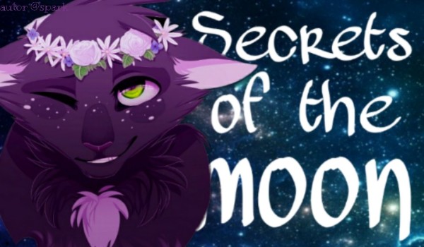 Secrets of the Moon – Tajemnica Medyczki