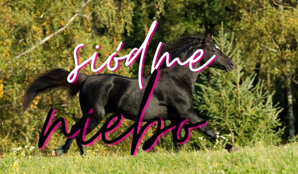 Siódme niebo – część druga