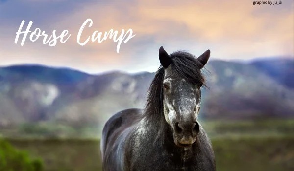 Horse Camp #1