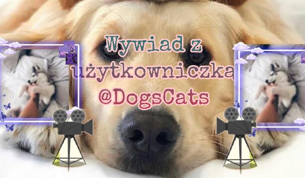Wywiad z użytkowniczką @DogsCats