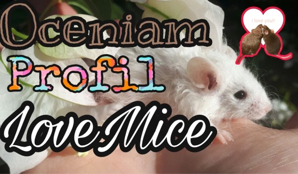 Oceniam profil LoveMice