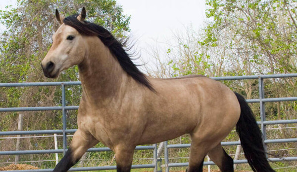 Inazuma eleven go cz.3