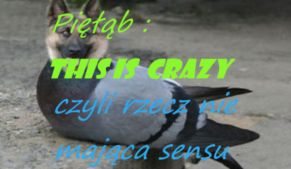 Pięłąb. This is Crazy