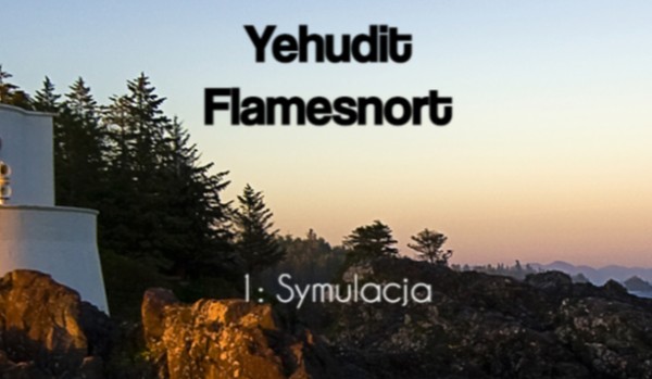 Yehudit Flamesnort 1: Symulacja