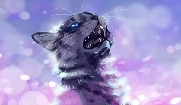 OC dla Piaskowej Burzy