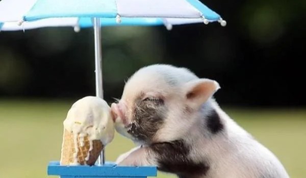 Stwórz dziwny nik! 3!