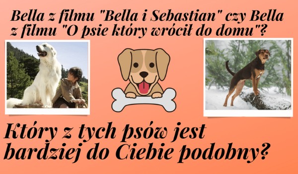 Bella z filmu „Bella i Sebastian” czy Bella z filmu”O psie który wrócił do domu „? Który z tych psów jest bardziej podobny do Ciebie?