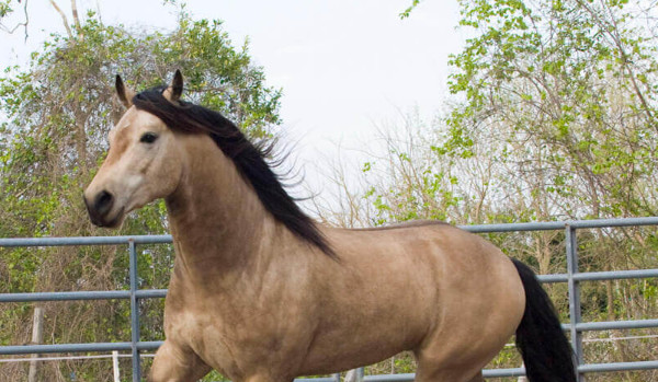 Inazuma eleven go cz.4