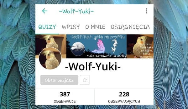 Oceniam profil @-Wolf-Yuki- !!!