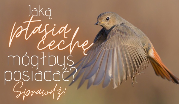 Jaką ptasią cechę mógłbyś posiadać?