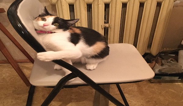 Podstawy prawa pracy 2021