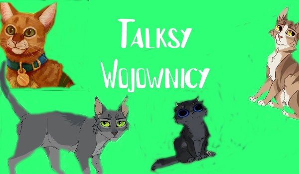 Talksy Wojownicy #2