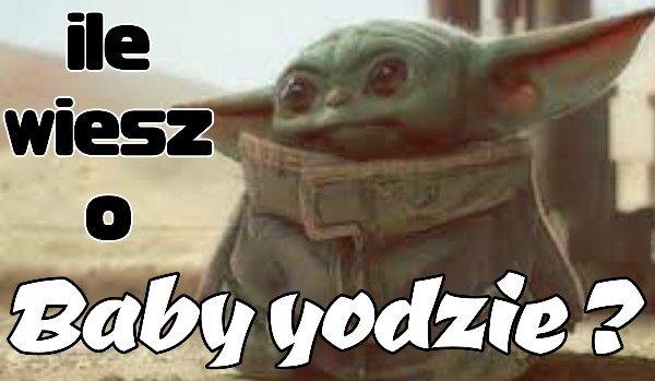 Ile wiesz o Baby Yodzie?