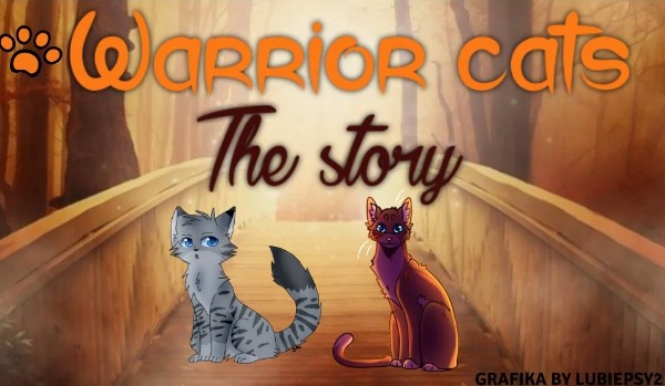 Warrior cats the story