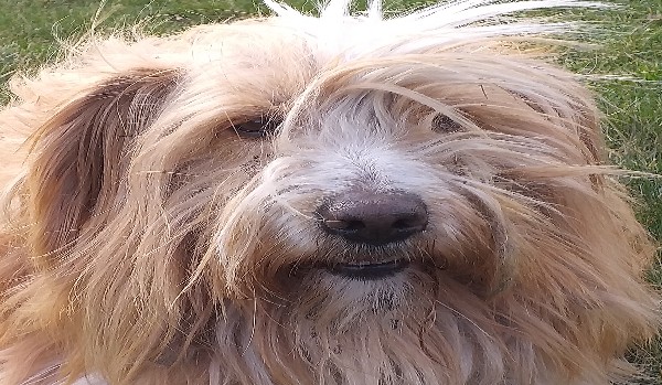 UJ 5: KONTRAST WALKI