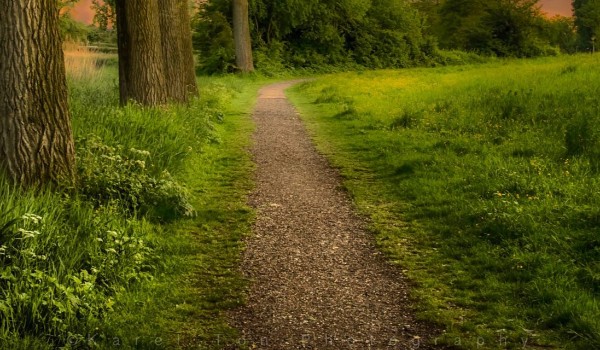 test o minecraft  czy dobrze znasz minecraft